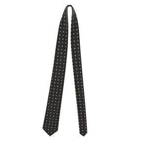ADpld™ Satin Silk Necktie | Black Ivory front display