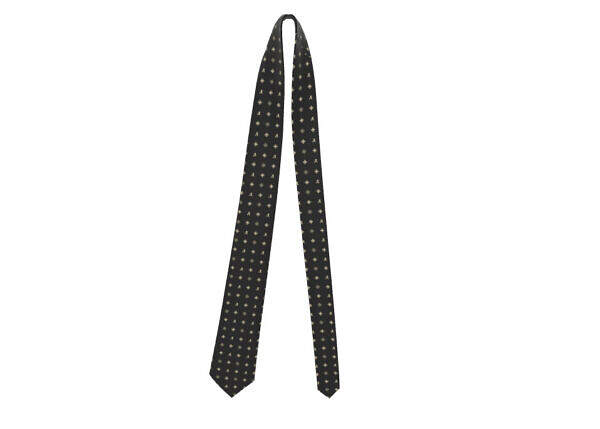 ADpld™ Satin Silk Necktie | Black Ivory front display