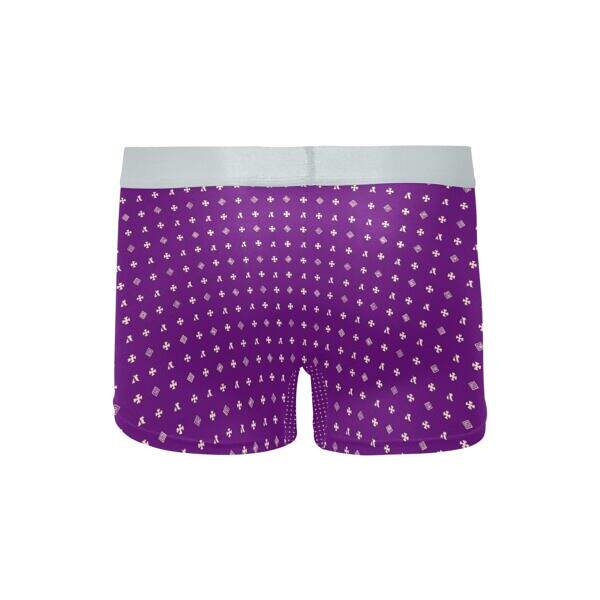 ADpld™ Crema Silverband Boxer Briefs indigo back display
