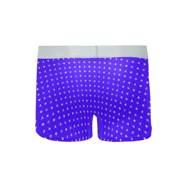 ADpld™ Crema Silverband Boxer Briefs blue back display