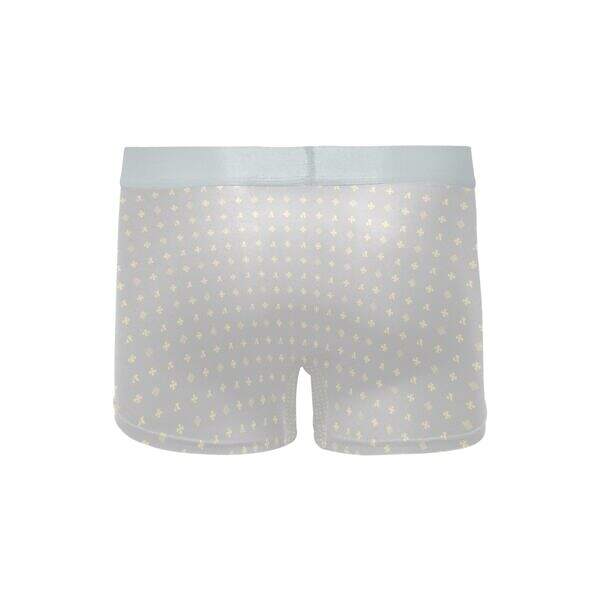 ADpld™ Crema Silverband Boxer Briefs silver back display