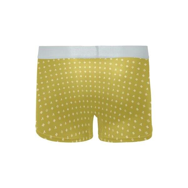 ADpld™ Crema Silverband Boxer Briefs dark khaki back display