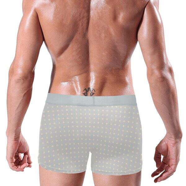 ADpld™ Crema Silverband Boxer Briefs silver back model display