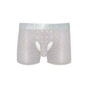 ADpld™ Crema Silverband Boxer Briefs silver front display