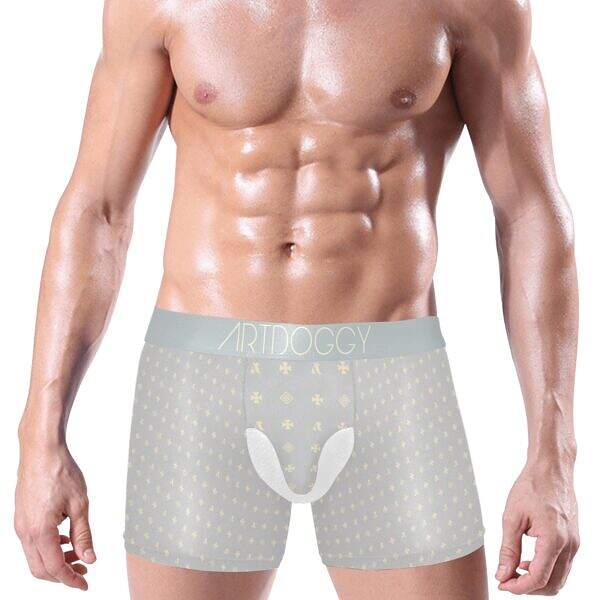ADpld™ Crema Silverband Boxer Briefs silver front model display