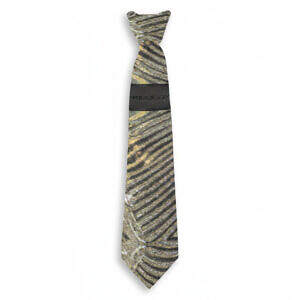 ArtDoggy™ Assorted Abstract Neckties in desert tan